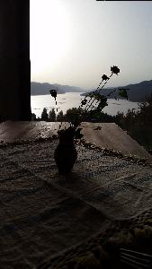 Great View