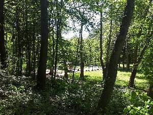 Еко пътеки